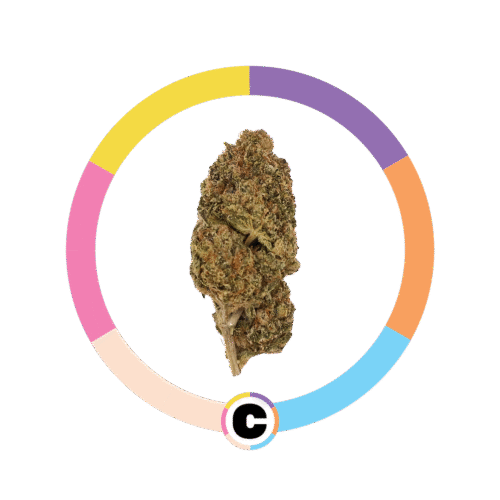 Pink Certz | 3.5g