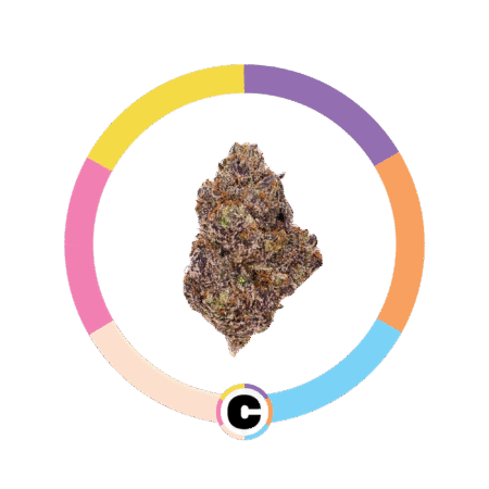 Wonkas Bubblicious | 3.5g
