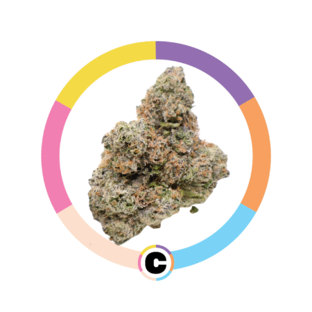 Tropical Limes | 28g