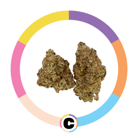 Mint Chocolate Chip | 3.5