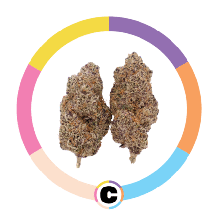 Oil Spill X Petro Pie | 14g