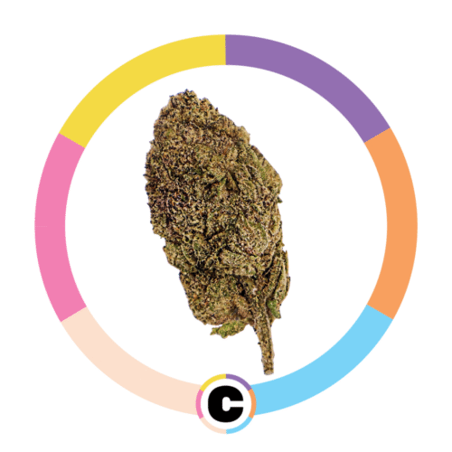 Oakland Runtz | 3.5g