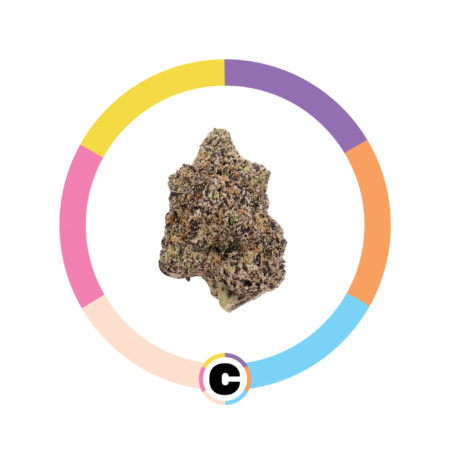 Grape Kool-Aid | 14g